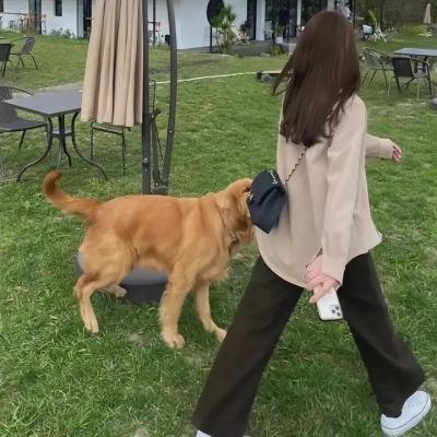 无悔今生
